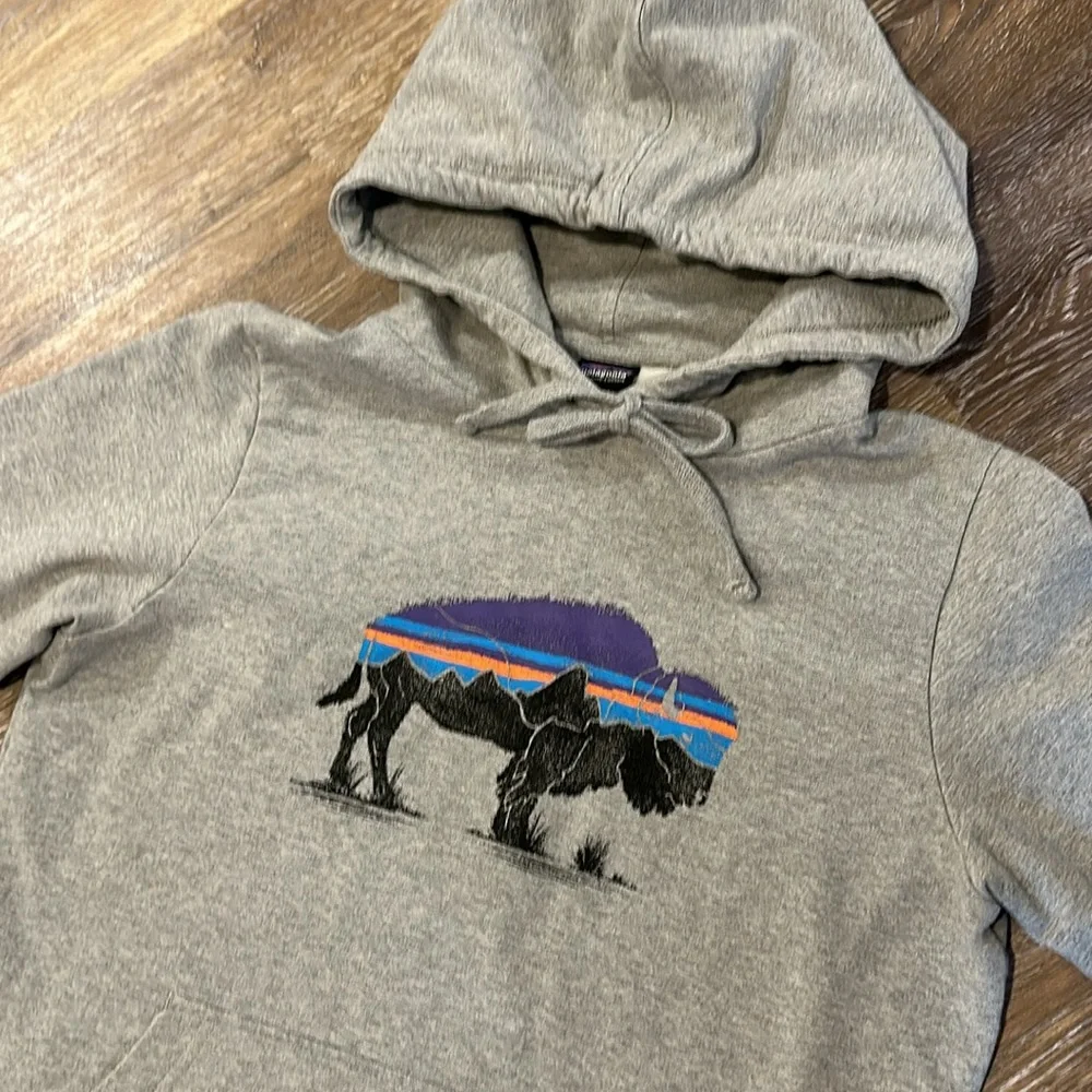 Patagonia hoodie ‘Buffalo’ - Picture 2 of 4